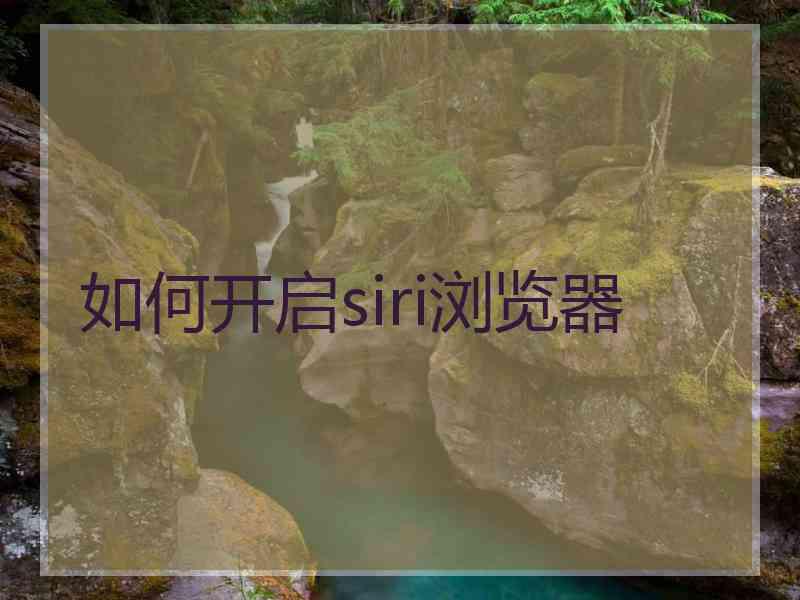 如何开启siri浏览器