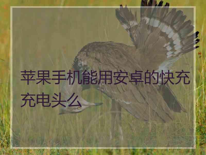 苹果手机能用安卓的快充充电头么