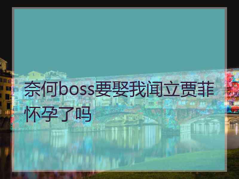 奈何boss要娶我闻立贾菲怀孕了吗