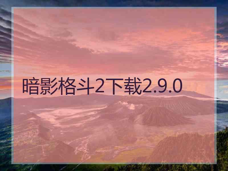 暗影格斗2下载2.9.0