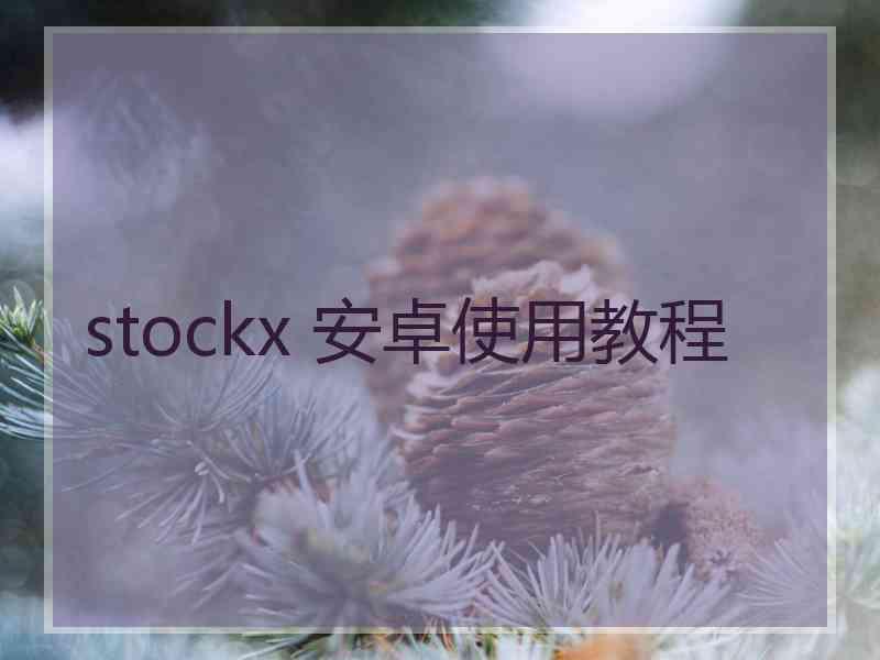stockx 安卓使用教程