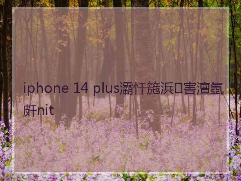 iphone 14 plus灞忓箷浜害澶氬皯nit