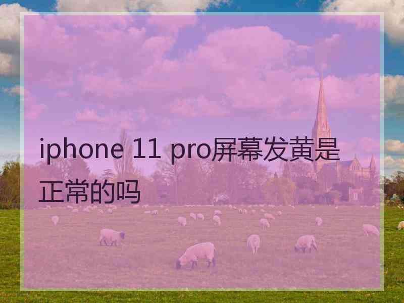 iphone 11 pro屏幕发黄是正常的吗