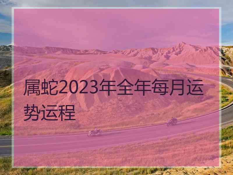 属蛇2023年全年每月运势运程