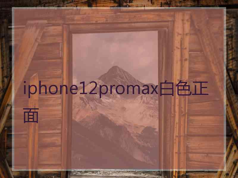 iphone12promax白色正面