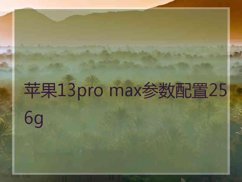 苹果13pro max参数配置256g