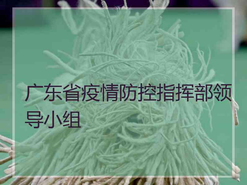 广东省疫情防控指挥部领导小组