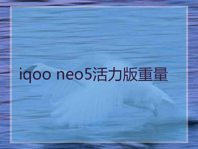 iqoo neo5活力版重量