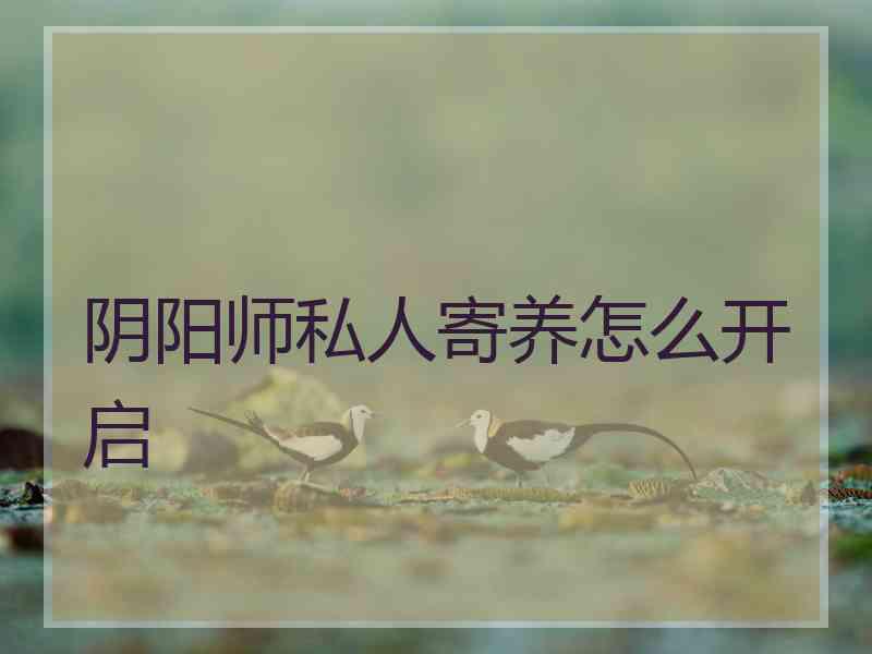 阴阳师私人寄养怎么开启