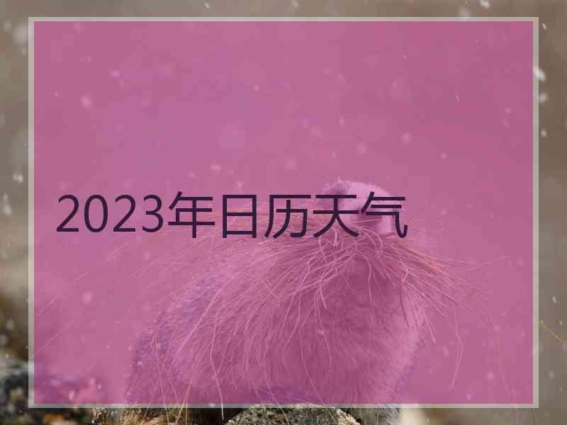 2023年日历天气