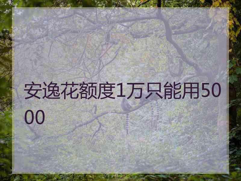 安逸花额度1万只能用5000