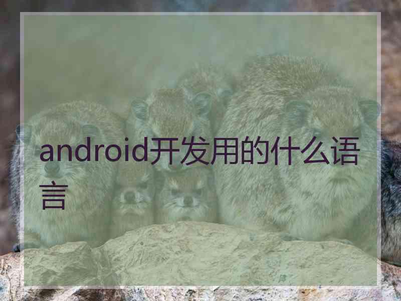 android开发用的什么语言