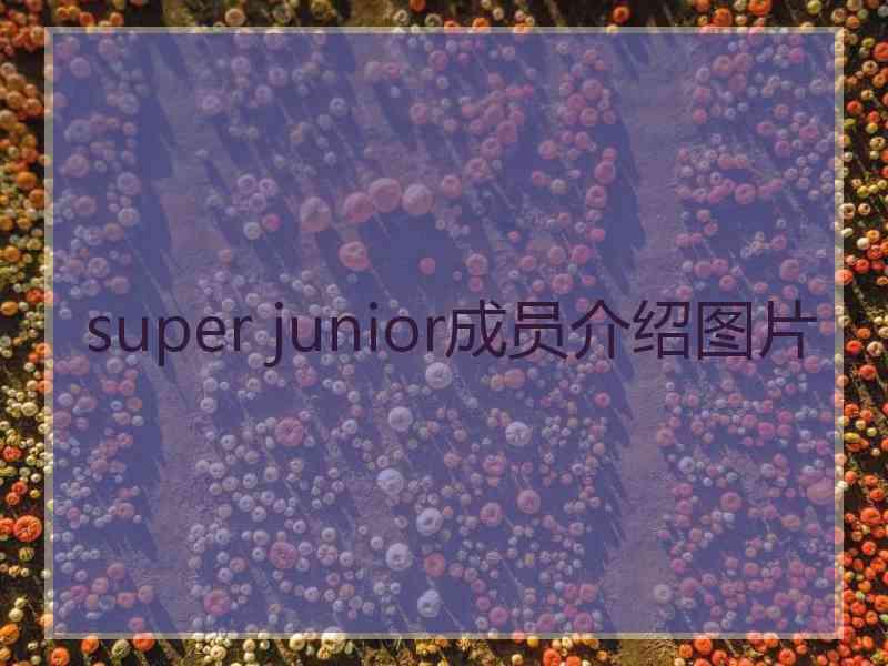 super junior成员介绍图片