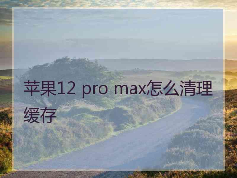 苹果12 pro max怎么清理缓存