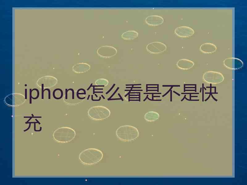 iphone怎么看是不是快充