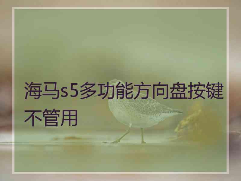 海马s5多功能方向盘按键不管用