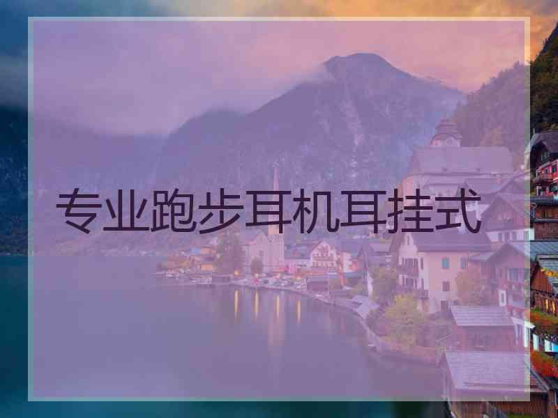 专业跑步耳机耳挂式