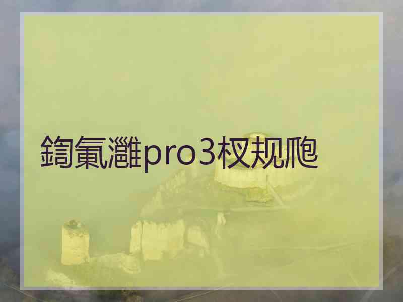 鍧氭灉pro3杈规爮