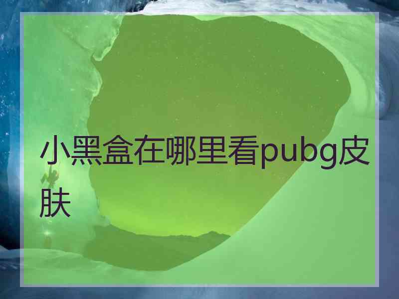 小黑盒在哪里看pubg皮肤