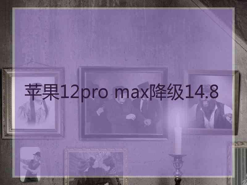 苹果12pro max降级14.8