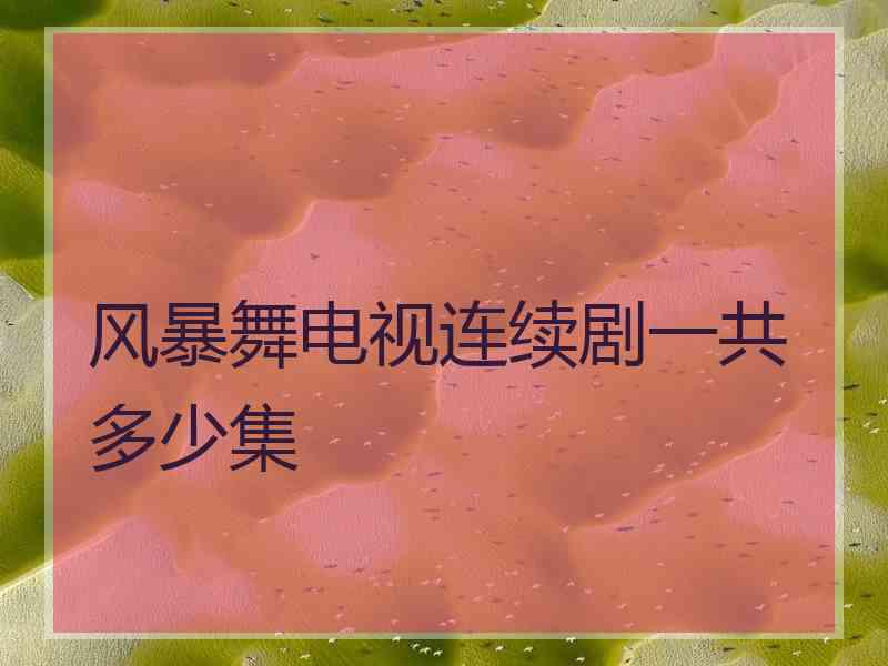 风暴舞电视连续剧一共多少集