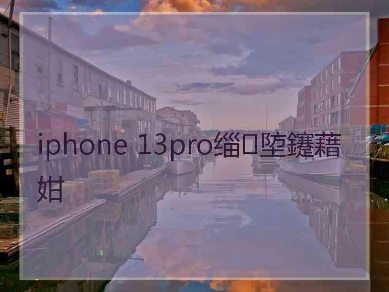 iphone 13pro缁埅鑳藉姏