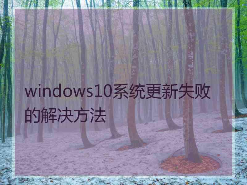 windows10系统更新失败的解决方法