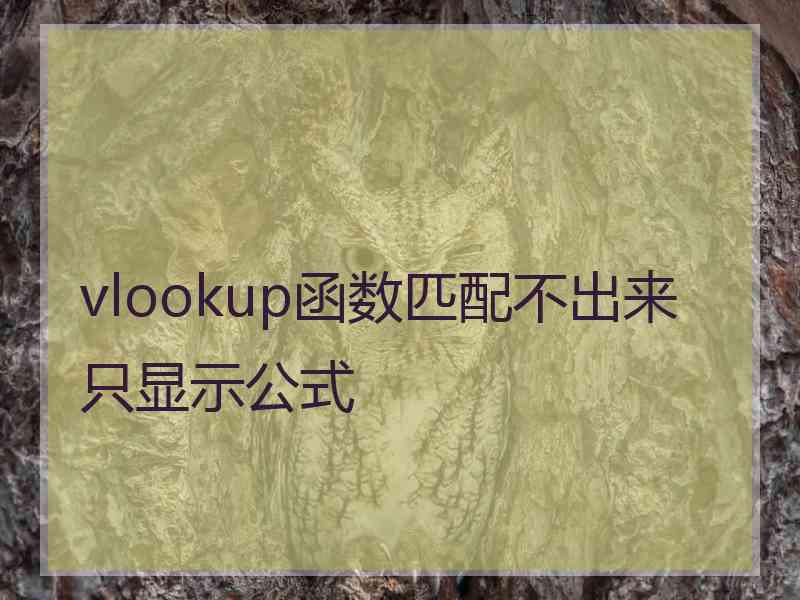 vlookup函数匹配不出来只显示公式