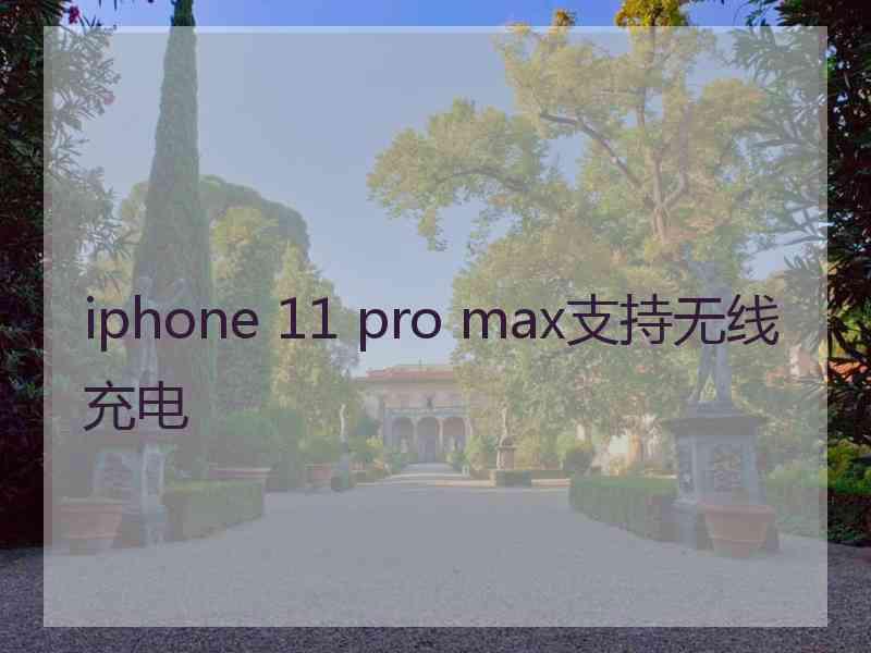 iphone 11 pro max支持无线充电