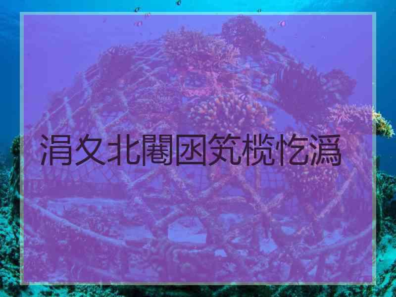 涓夊北闀囦笂榄忔潙