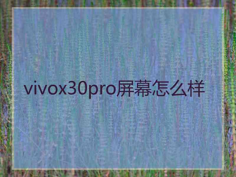 vivox30pro屏幕怎么样