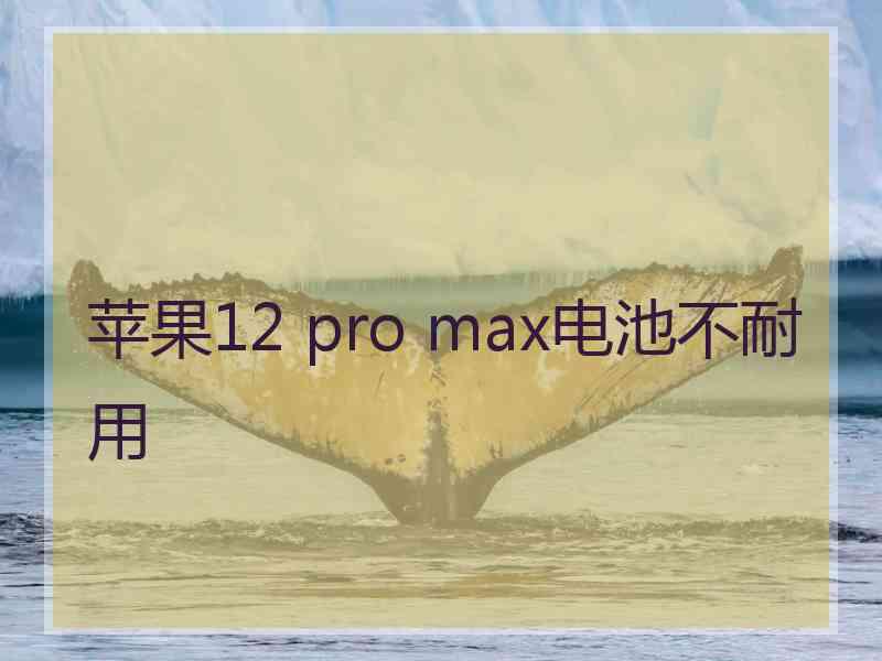 苹果12 pro max电池不耐用