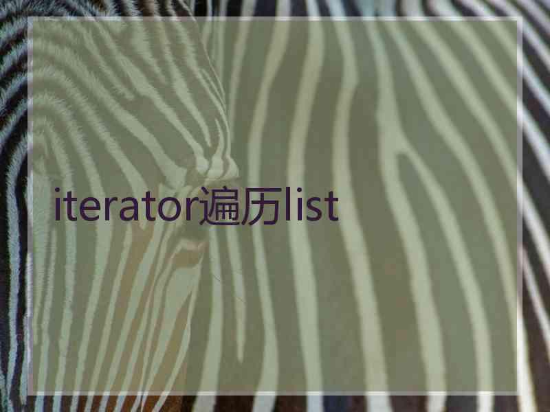 iterator遍历list