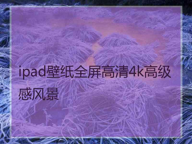 ipad壁纸全屏高清4k高级感风景