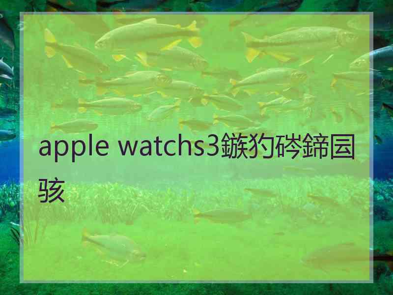 apple watchs3鏃犳硶鍗囩骇