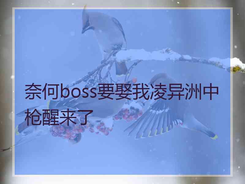 奈何boss要娶我凌异洲中枪醒来了