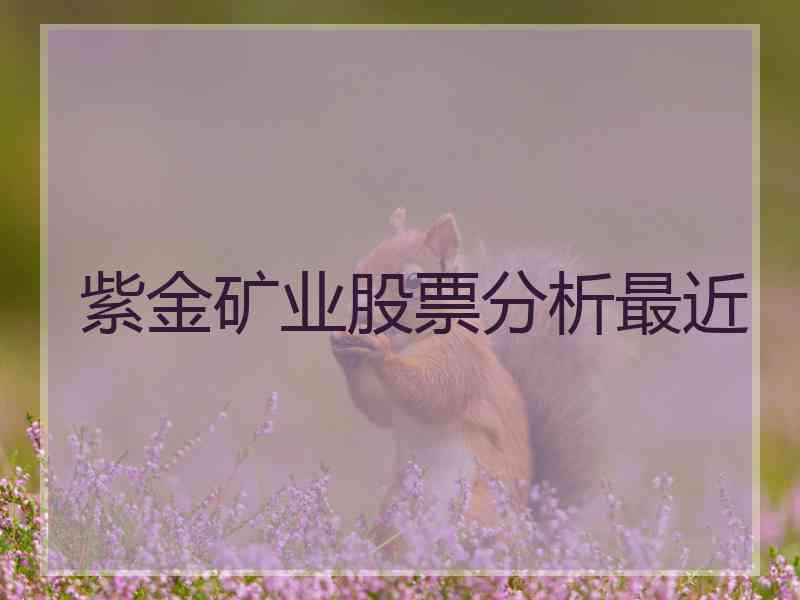 紫金矿业股票分析最近