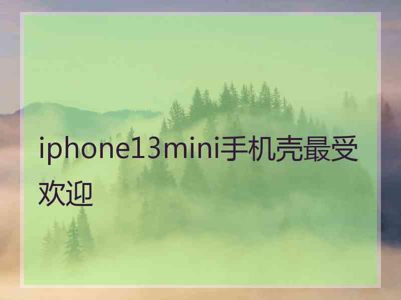 iphone13mini手机壳最受欢迎