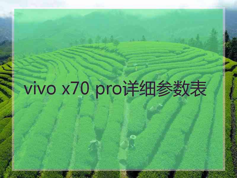 vivo x70 pro详细参数表