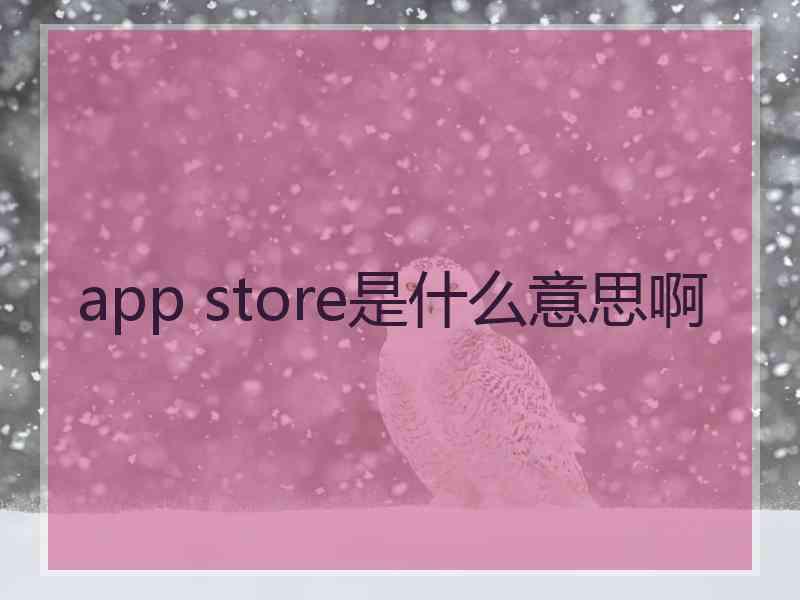 app store是什么意思啊