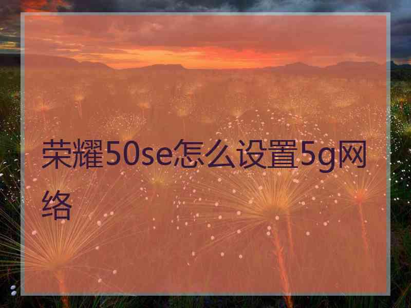 荣耀50se怎么设置5g网络