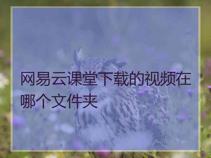 网易云课堂下载的视频在哪个文件夹