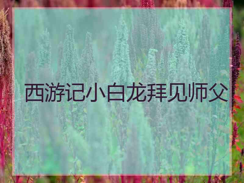 西游记小白龙拜见师父