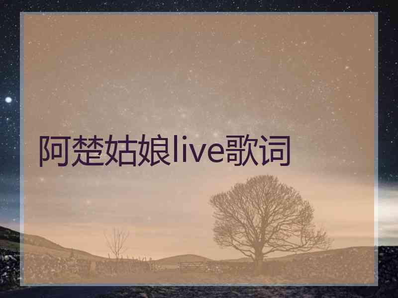 阿楚姑娘live歌词