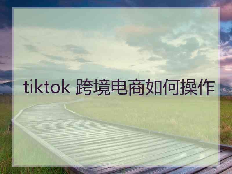 tiktok 跨境电商如何操作