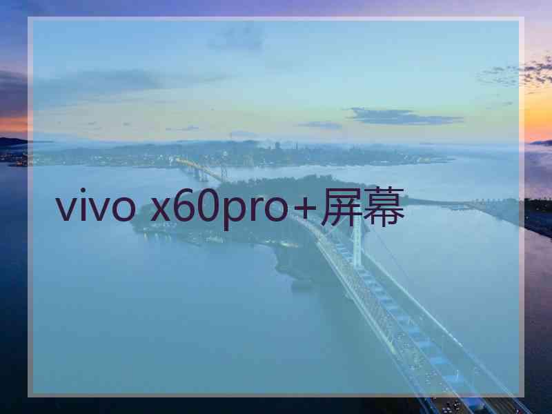 vivo x60pro+屏幕