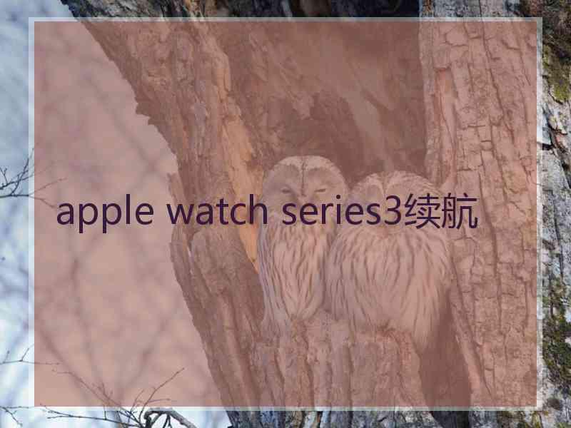 apple watch series3续航