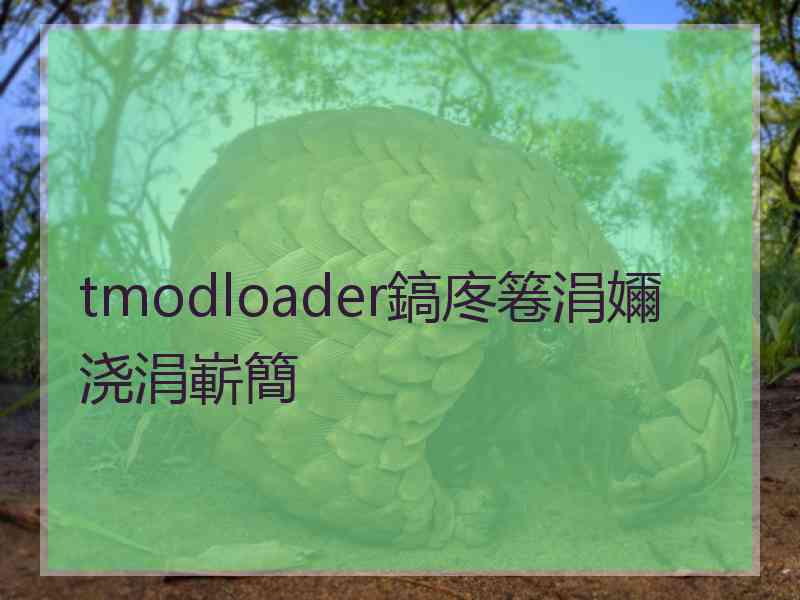 tmodloader鎬庝箞涓嬭浇涓嶄簡