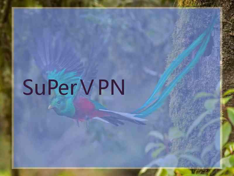 SuPerⅤPN