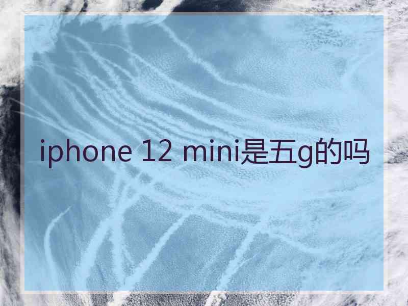 iphone 12 mini是五g的吗